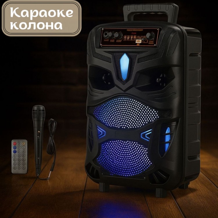 Караоке колона NDR-P55 Караоке колона NDR-P55