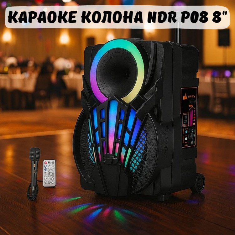 Караоке колона NDR-P08 8" Караоке колона NDR-P08 8"