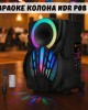 Караоке колона NDR-P08 8" Караоке колона NDR-P08 8"
