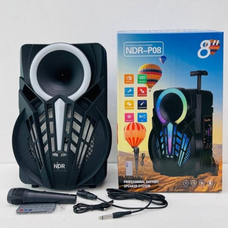 Караоке колона NDR-P08 8" Караоке колона NDR-P08 8"
