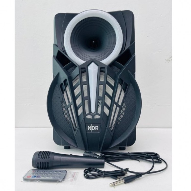 Караоке колона NDR-P08 8" Караоке колона NDR-P08 8"