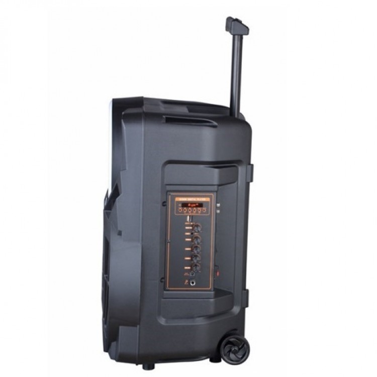 Караоке колона NDR-P08 8" Караоке колона NDR-P08 8"