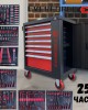 Професионален шкаф с инструменти EVERFORCE 251 части