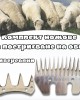 Комплект ножове за постригване на овце 